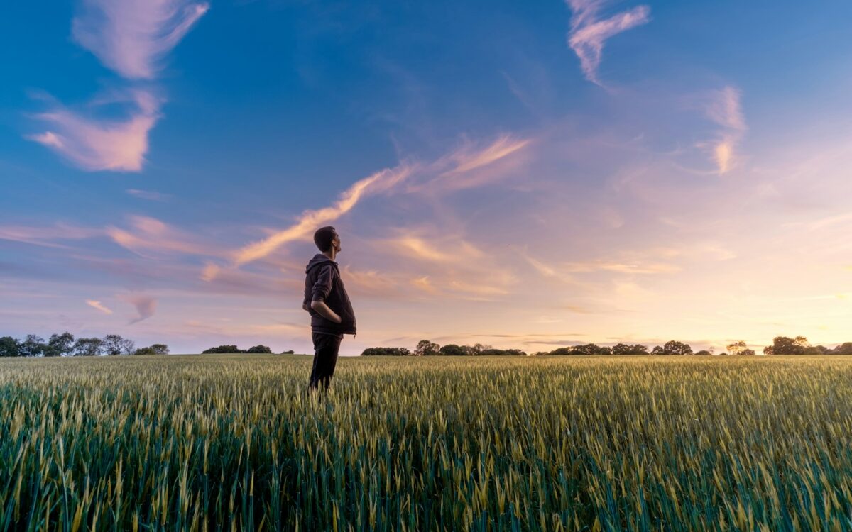 man on grass field looking at sky